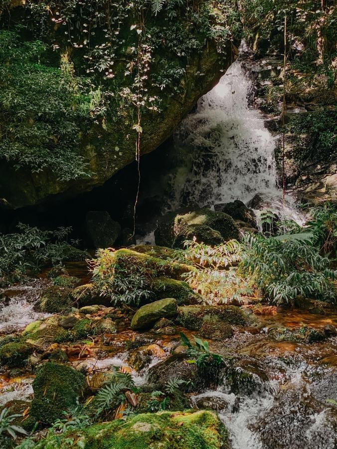 Pousada Quinta Das Nascentes Petrópolis Eksteriør bilde